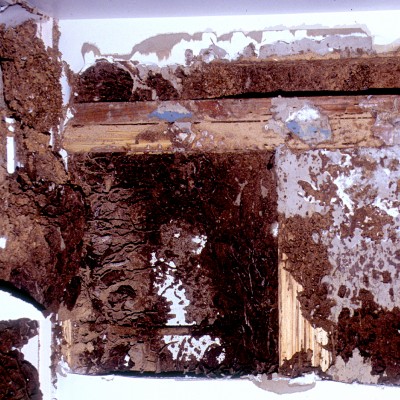 Termite Damage to a House