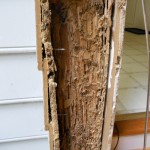 Damage from Termites in Home