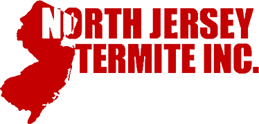 North Jersey Termite