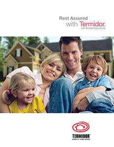 Termidor Treatment Brochure